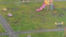Кабаны перерыли землю на детской площадке в Зеленоградске