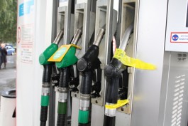 Областное правительство попросило ФАС проверить законность повышения цен на топливо