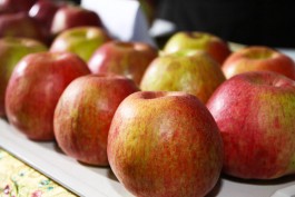 Специалисты калининградского Россельхознадзора съездили в Турцию для проверки яблок