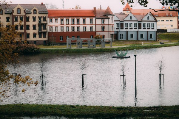 «Из-за бобров и прудов»: в Черняховске затопило парк «Городская долина»  (фото)