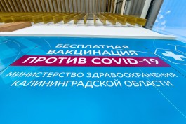 В Минздраве рассказали, как будут работать мобильные пункты вакцинации в Калининграде