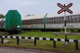 Под Калининградом грузовой поезд чуть не сбил гражданина Узбекистана