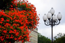 На наружное освещение в Калининграде потратят более 46 млн рублей