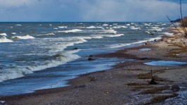 На побережье Балтийского моря в Литве выбросило «неизвестное вещество»