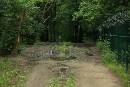 В Калининграде нашли подрядчика для благоустройства тротуара вдоль пруда в районе проспекта Мира