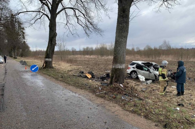 В Гвардейском округе «Мерседес» врезался в дерево: 19-летний водитель погиб