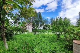 Суд обязал вернуть в госсобственность участок на берегу Куршского залива