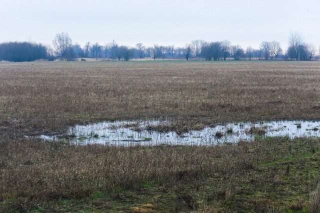 В Славском округе водитель утонул в болоте вместе с трактором