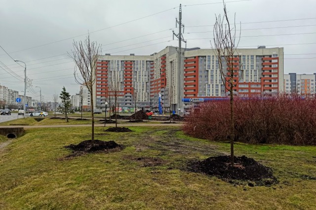 Исследование: Калининград стал безусловным лидером по росту цен на квартиры в России