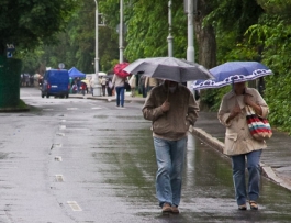 В Калининградской области ожидается резкое усиление ветра и сильный дождь