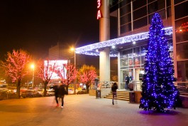 Гидрометцентр: В Калининградской области ожидается тёплая новогодняя ночь