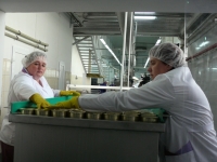 В Гусеве будут производить мясные консервы для всей России (фото)