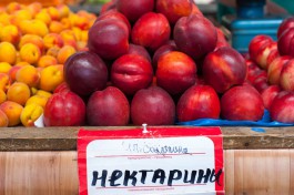 Импорт нектаринов из Турции в Калининградскую область вырос на 80%