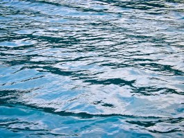 На Голубых озёрах спасли тонувшую трёхлетнюю девочку