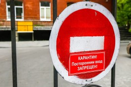 В Калининградской области выявили 32 новых случая коронавируса