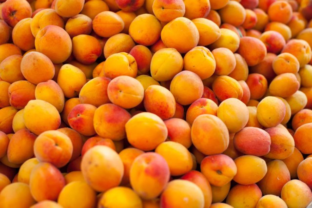 В Калининградскую область не пустили 20 тонн сушёных абрикосов из Турции