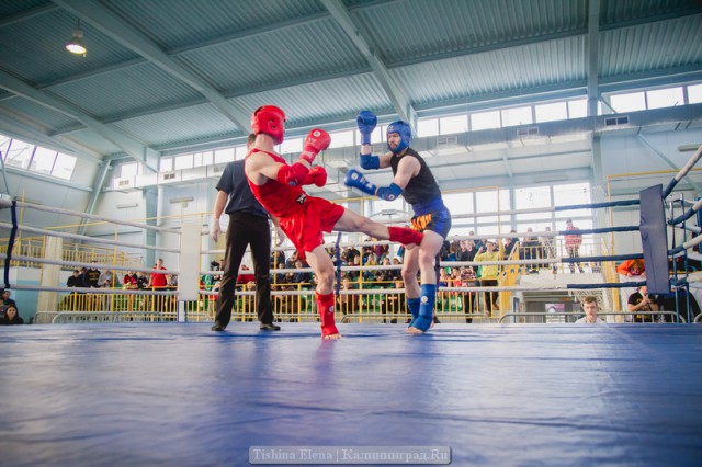 «Близок локоток»: в Пионерском прошёл международный турнир по тайскому боксу (фото)