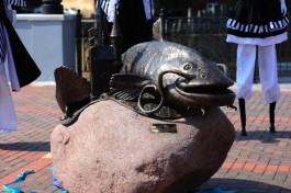 «Сам себе сом»: зачем на набережной реки Преголи установили скульптуру гигантской рыбы