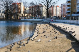 Во вторник Калининград побил суточный температурный рекорд 1992 года