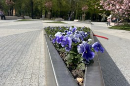 В Калининграде ищут подрядчика для высадки цветов в скверах и зелёных зонах