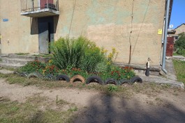 «Не угнетать и не кошмарить»: Дятлова хочет убрать старые покрышки из дворов Калининграда