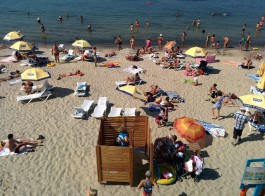Отдыхающие на пляже в Зеленоградске жалуются на нашествие летающих муравьёв
