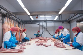 Эксперты рассказали, что будет с ценами на свинину в Калининградской области из-за АЧС