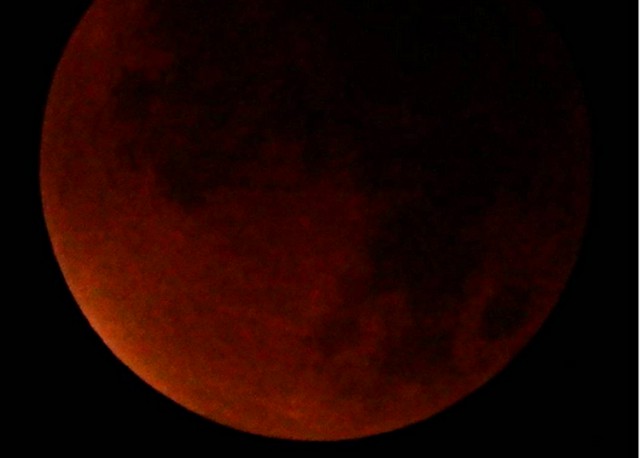 «Во всей красе»: в Калининградской области наблюдалась полная «кровавая луна»