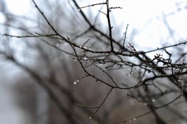 На неделе в Калининградской области ожидается снег с дождём