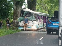 На трассе под Янтарным пассажирский автобус врезался в дерево: есть пострадавшие