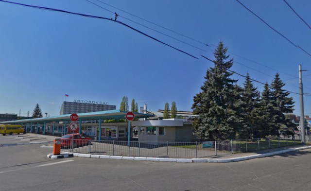 С территории автовокзала в Калининграде решили убрать десять голубых елей