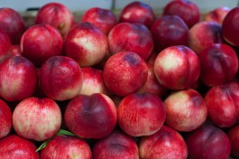 В Калининградскую область привезли восемь тонн заражённых нектаринов и персиков