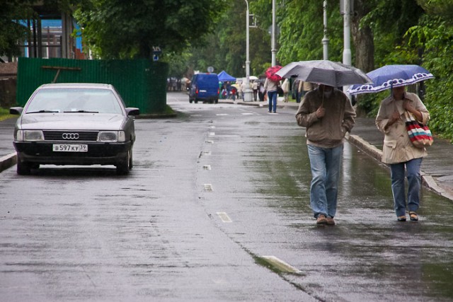 В новогодние выходные синоптики прогнозируют в регионе дождь и плюсовую температуру