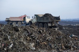 Власти планируют в 2019 году очистить от мусора лес рядом со свалкой в посёлке Космодемьянского