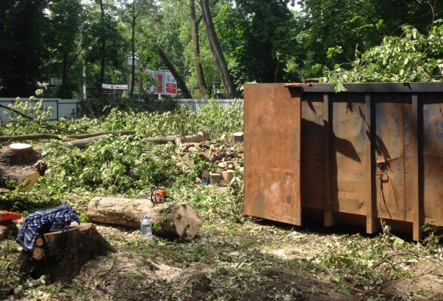 В сквере у областной прокуратуры вырубили деревья под строительство гостиницы (фото)