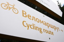 Строительство велодорожки от Куршской до Балтийской косы планируют начать в 2015 году