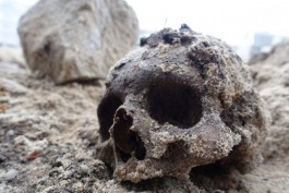 Под Гвардейском дети нашли человеческий череп в песочнице