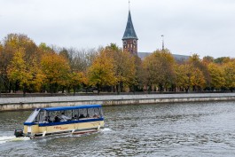 Калининград оказался в топе самых популярных направлений отдыха в октябре
