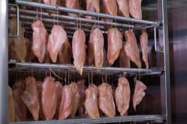 В Черняховске приостановили работу мясной компании после обнаружения патогенной бактерии