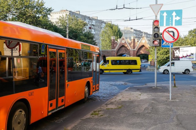Власти: Общественным транспортом в Калининграде ежедневно пользуется около 85 тысяч человек