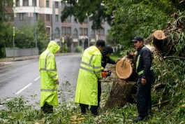 В Зеленоградске рассказали, как борются с последствиями субботнего шторма (фото)