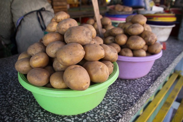 Калининградские фермеры распродают картофель по 6-15 рублей за кг