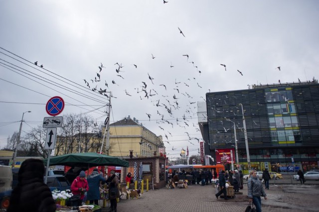 Реконструкцию улицы Баранова в Калининграде планируют начать летом 2018 года