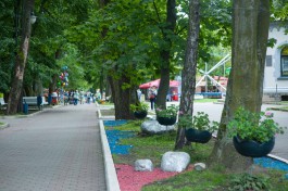 В Центральном парке Калининграда появится аллея парящих цветов