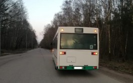 В Калининграде 73-летний пассажир ударил водителя автобуса по голове за отказ остановиться