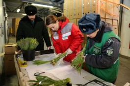 С начала года в Калининградскую область ввезли более 520 тонн цветов