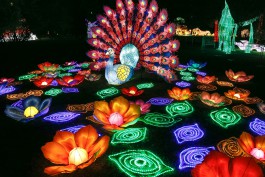 «Светят, но не греют»: на острове Канта открылся фестиваль китайских фонарей (фото)