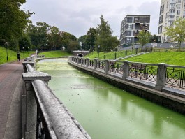 Минприроды: В Калининграде дважды в неделю убирают водоросли из Верхнего озера