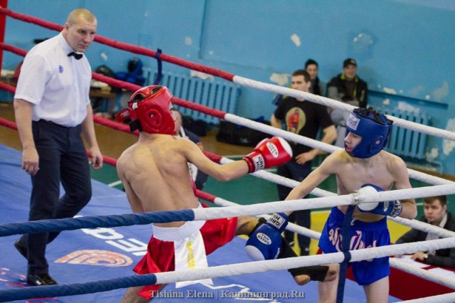 «Фулл-контакт с лоу-киком»: в Калининграде прошёл региональный чемпионат по кикбоксингу (фото)
