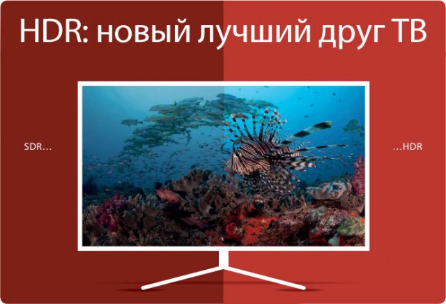 Калининградцам снова будут показывать местные новости по телевизору: появление «цифровой врезки» на федеральном телеканале ОТР